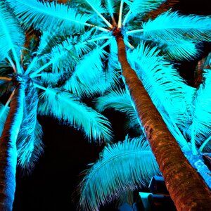 Trades and Offers Welcome!!!!!!